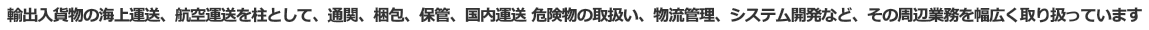 輸出入貨物の海上運送、航空運送を柱として、通関、梱包、保管、国内運送 危険物の取扱い、物流管理、システム開発など、その周辺業務を幅広く取り扱っています